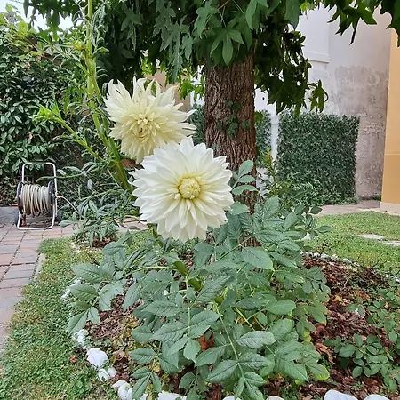 Hotel Unahotels Eco Costanza Venezia 3*